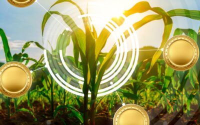 Crypto Farm: Understanding the Basics of Farming