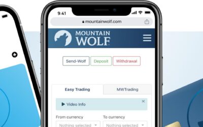 Mountain Wolf: Betrug oder vertrauenswürdiger Digital Payment Provider?