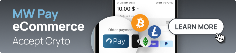 Blog Ad - MW Pay eCommerce - Mountain Wolf Digital Payments